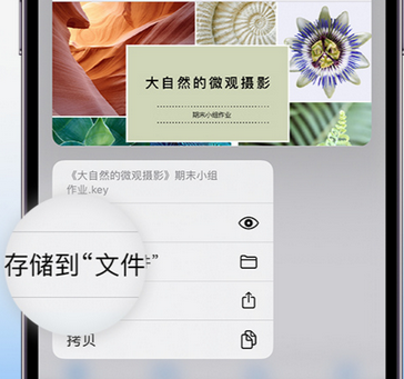 玉环apple维修中心分享iPhone文件应用中存储和找到下载文件