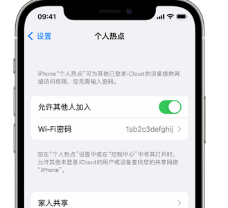 玉环apple服务站点分享iPhone上个人热点丢失了怎么办 