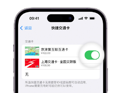 玉环apple维修点分享iPhone上更换Apple Pay快捷交通卡手绘卡面 