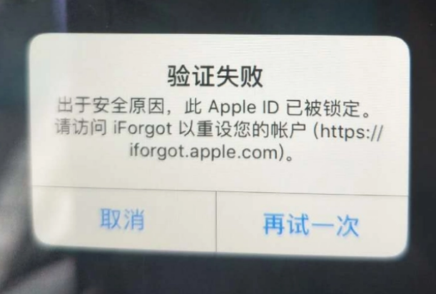 玉环iPhone维修分享iPhone上正常登录或使用AppleID怎么办 