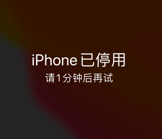 玉环苹果手机维修分享:iPhone 显示“不可用”或“已停用”怎么办？还能保留数据吗？ 