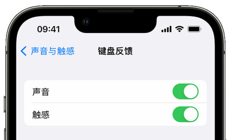 玉环苹果手机维修分享iPhone 14触感键盘使用方法 