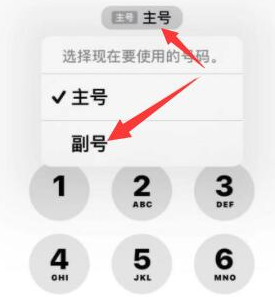 玉环苹果14维修店分享iPhone 14 Pro Max使用副卡打电话的方法 