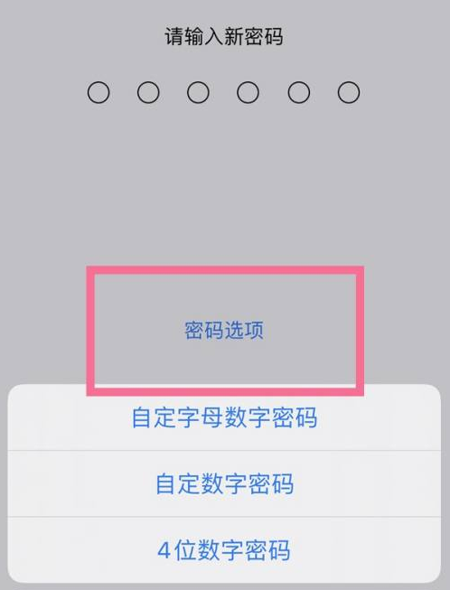 玉环苹果14维修分享iPhone 14plus设置密码的方法 