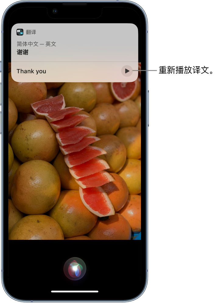 玉环苹果14维修分享 iPhone 14 机型中使用 Siri：了解 Siri 能帮你做什么 