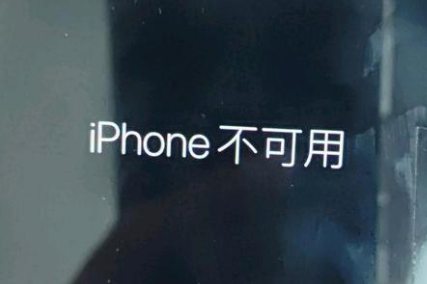 玉环苹果服务网点分享锁屏界面显示“iPhone 不可用”如何解决 