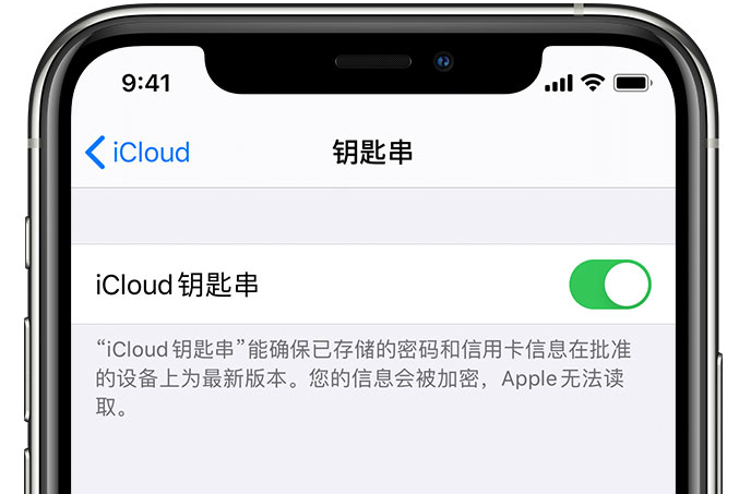 玉环苹果手机维修分享在 iPhone 上开启 iCloud 钥匙串之后会储存哪些信息 