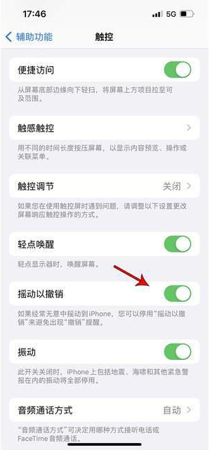 玉环苹果手机维修分享iPhone手机如何设置摇一摇删除文字 